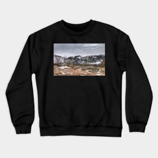 Winter, White Moss Common Crewneck Sweatshirt